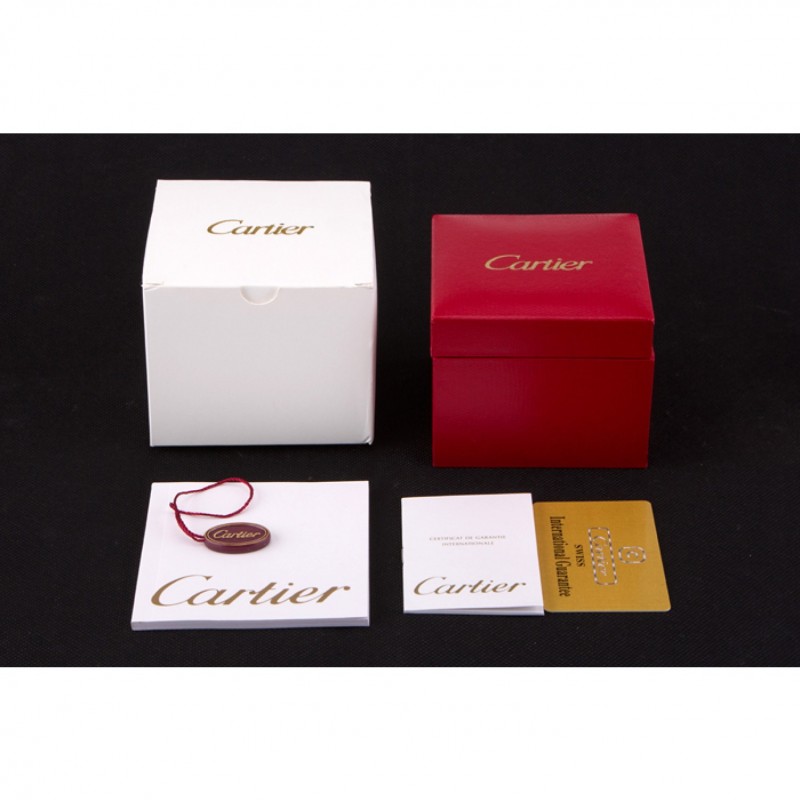 Cartier Watch Case-2
