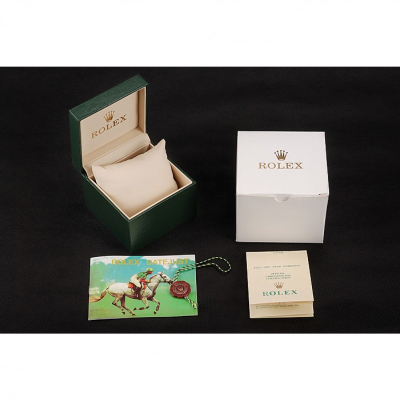 Rolex Watch Case-1