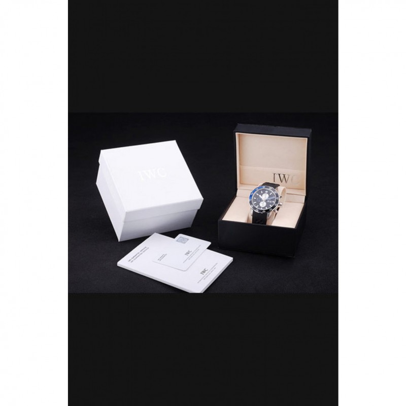 IWC Watch Case-1