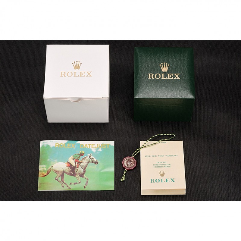 Rolex Watch Case-3