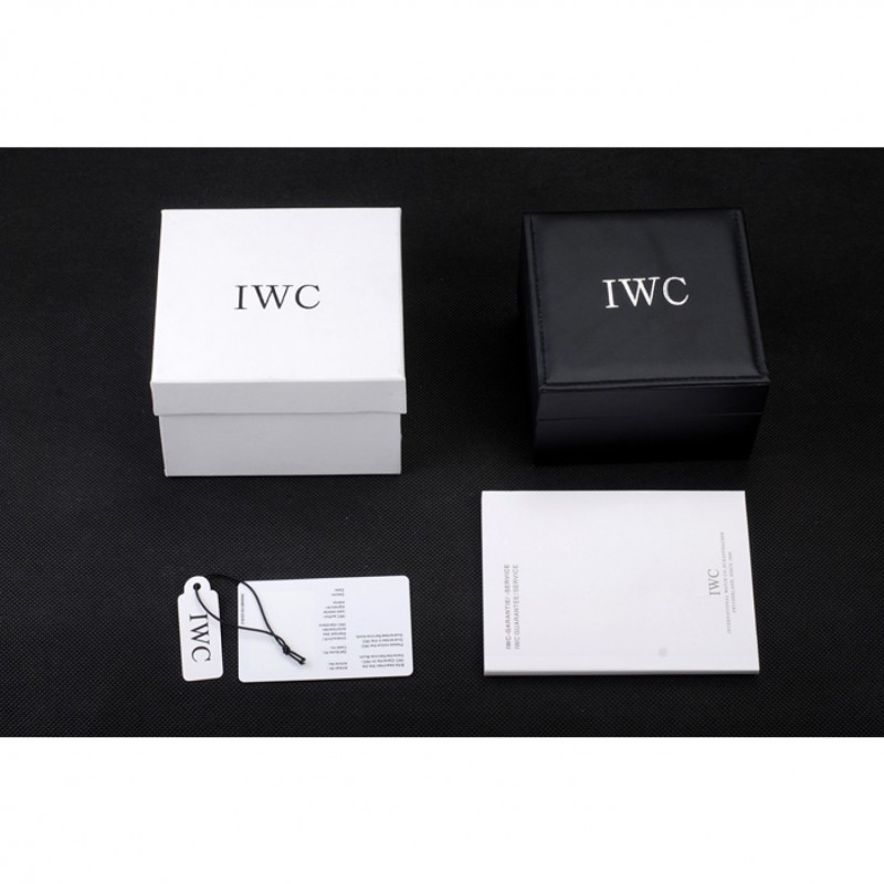 IWC Watch Case-2